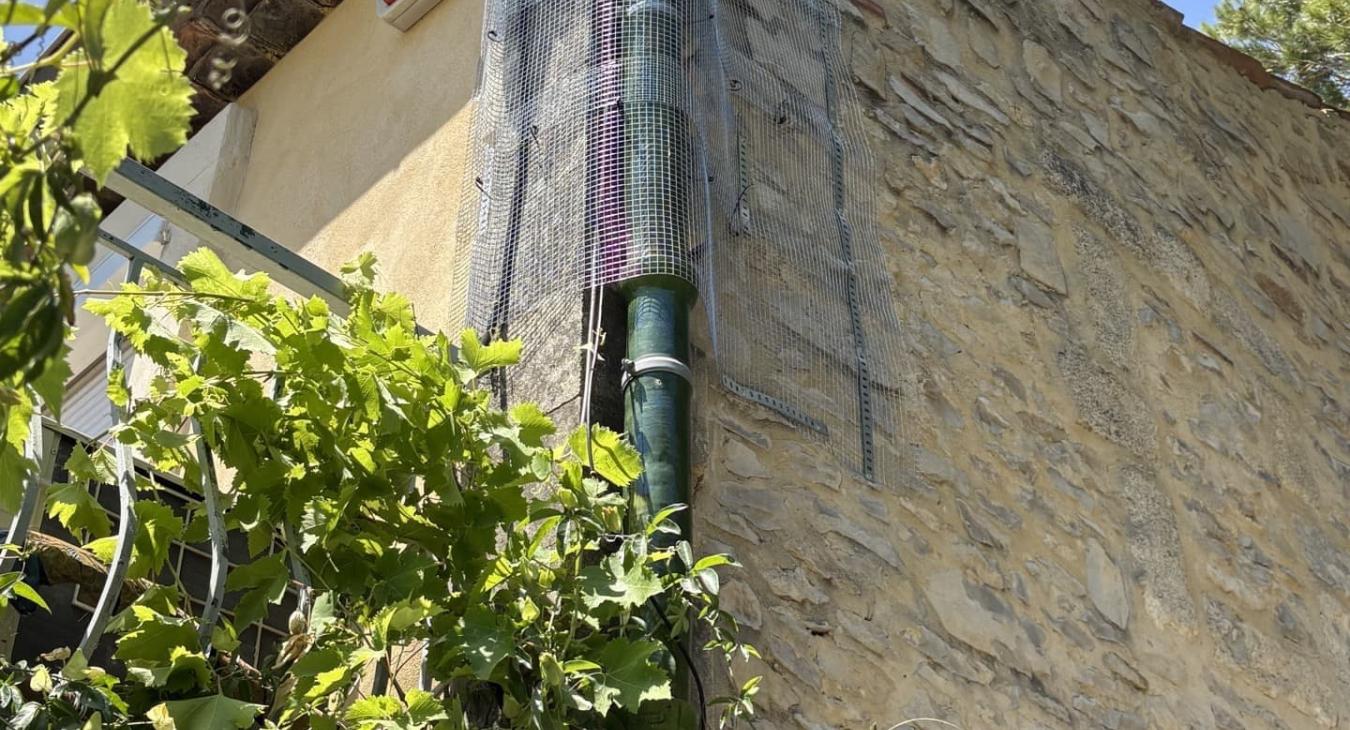 Mise en sécurité de descente pluviale